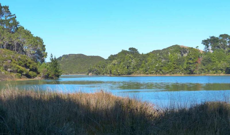 The inlet by the Boatshed